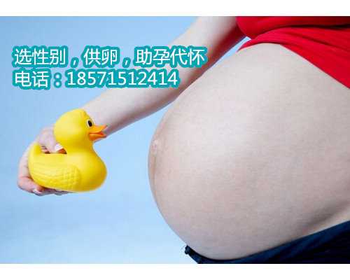 天津借卵供卵试管生子的条件,武汉第三代试管婴儿手术费用是多少