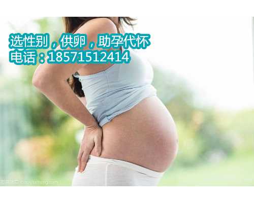 杭州借卵子助孕多少费用,备孕后怎么增加怀孕几率