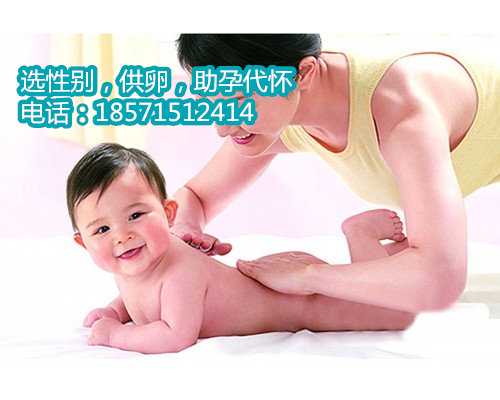 上海借卵子试管价格,试管婴儿移植鲜胚还是冻胚好