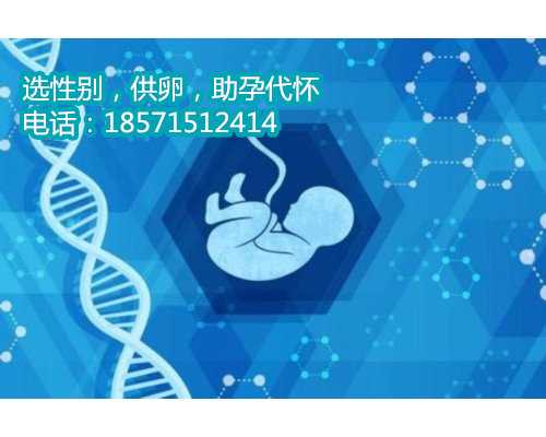 上海借卵做试管程序,高龄备孕为什么生育困难