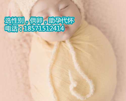2022上海借卵代生多少钱,怀孕早期见红胚胎顽强保得住吗