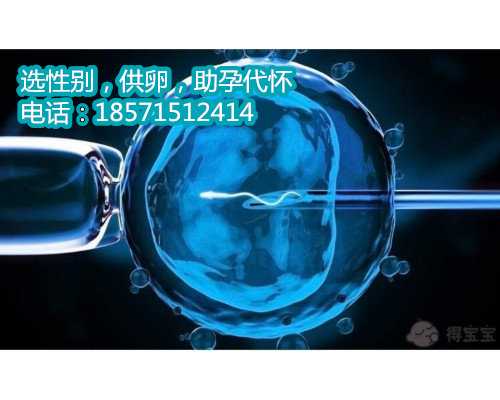 上海借卵子怀孕几率大吗,1广东省妇幼保健院知名试管婴儿医生