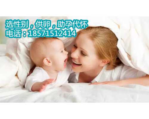 探索试管婴儿技术的魅力：揭示陕西省三代试管费用明细