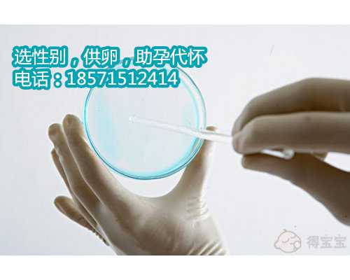 上海借卵代生大概多少钱,取卵手术前为什么要清肠