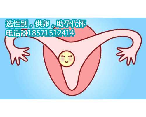 上海借卵代生包成功,高龄做试管怎么提高卵子质量