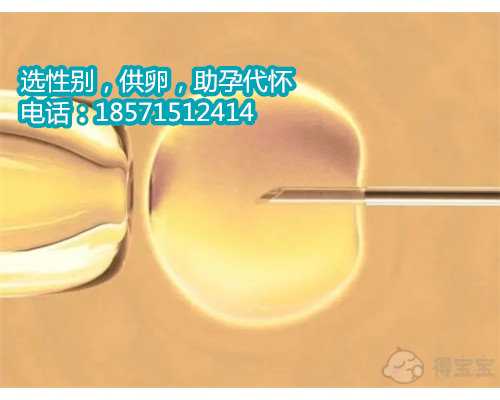 上海借卵子助孕,第三步：取卵取精