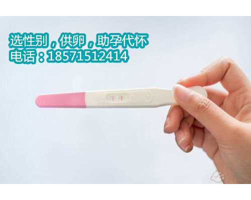 上海借卵助孕多少钱,高龄女性如何备孕