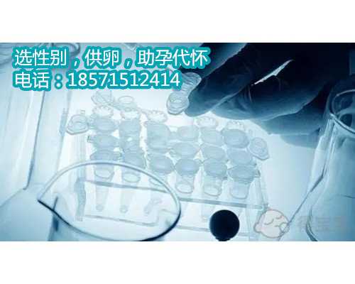 天津借卵试管贵不贵,合肥901医院生殖中心有几个医生