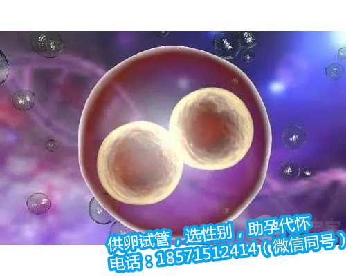 上海借卵生子价格,DHA的摄入量标准