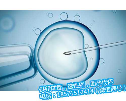 上海借卵供卵试管的概率大吗,遗传学诊断