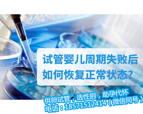 重庆借卵代生大概多少钱,武汉大学人民医院试管婴儿成功率预估