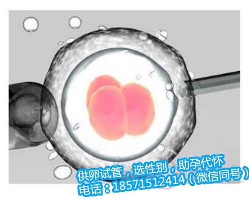 杭州借卵供卵试管多少钱,2广西试管婴儿具体有哪些费用