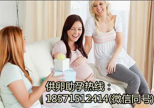 上海借卵试管代生孩子,泰州人民医院试管费用