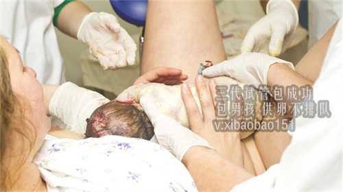 青岛借卵产子合法吗,1广东省妇幼保健院知名试管婴儿医生