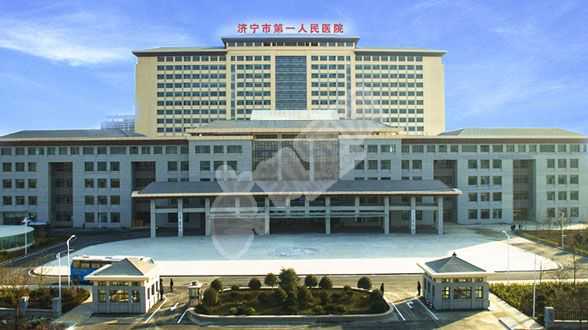 上海借卵生子成功率,1广东省妇幼保健院知名试管婴儿医生