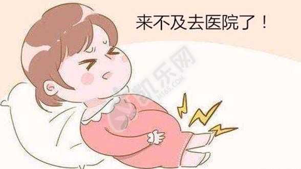 重庆借卵代孕价格,接近母乳婴儿奶粉排行榜